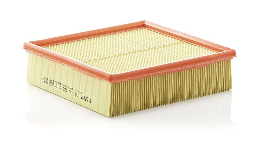 MANN-FILTER Vzduchový filter C22117 1