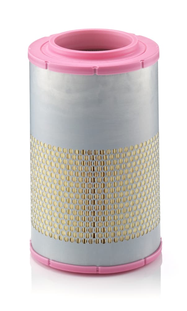 MANN-FILTER Vzduchový filter C224781 1