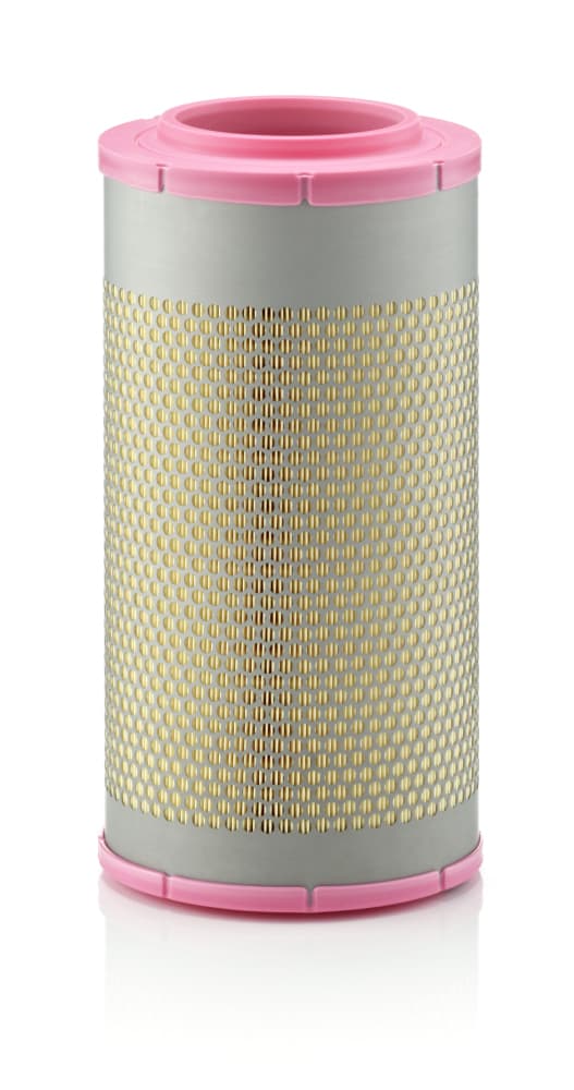 MANN-FILTER Vzduchový filter C225801 1