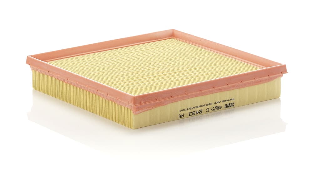 MANN-FILTER Vzduchový filter C2493 1