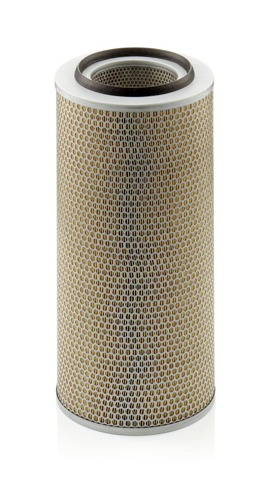 MANN-FILTER Vzduchový filter C246501 1