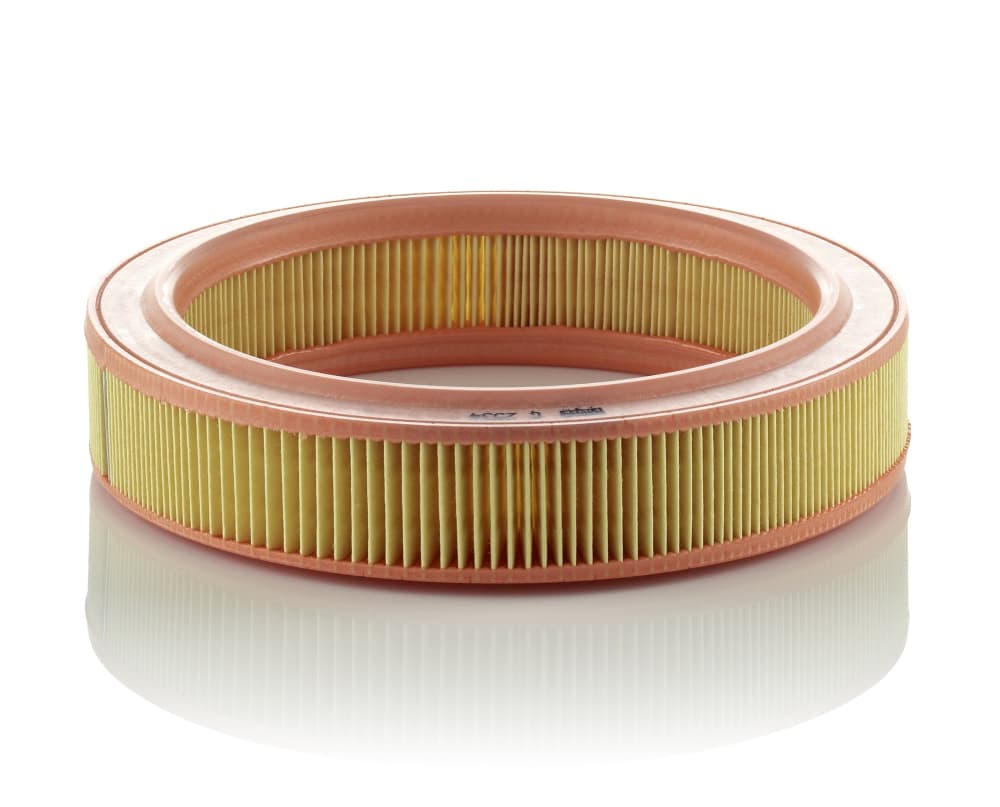 MANN-FILTER Vzduchový filter C2534 1