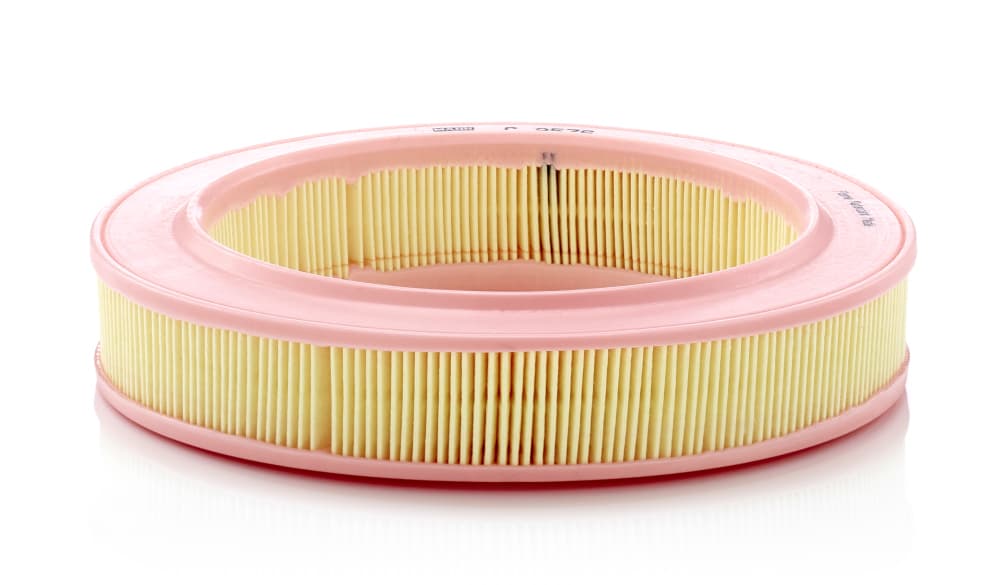 MANN-FILTER Vzduchový filter C2536 1