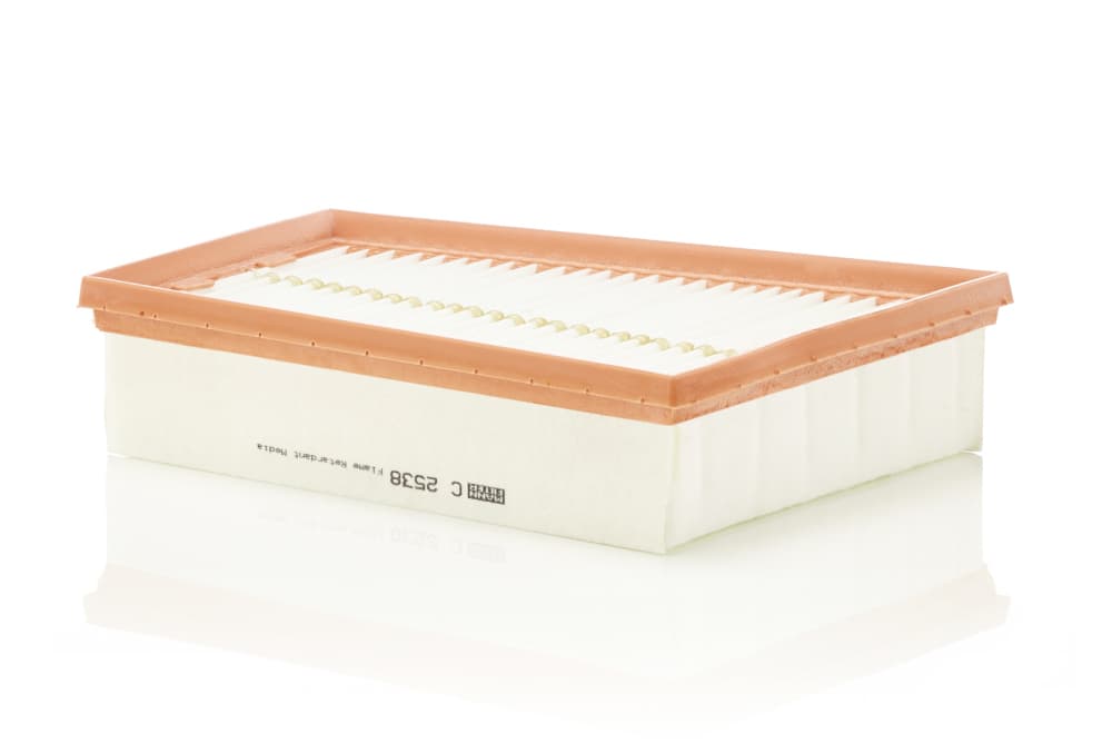 MANN-FILTER Vzduchový filter C2538 1