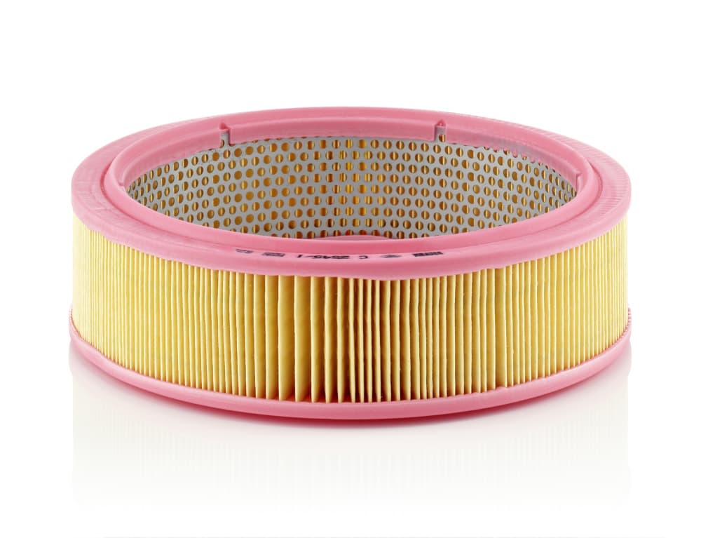 MANN-FILTER Vzduchový filter C25451 1