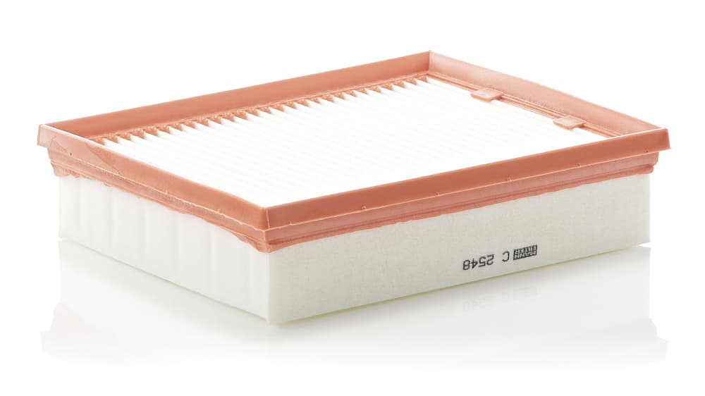 MANN-FILTER Vzduchový filter C2548 1