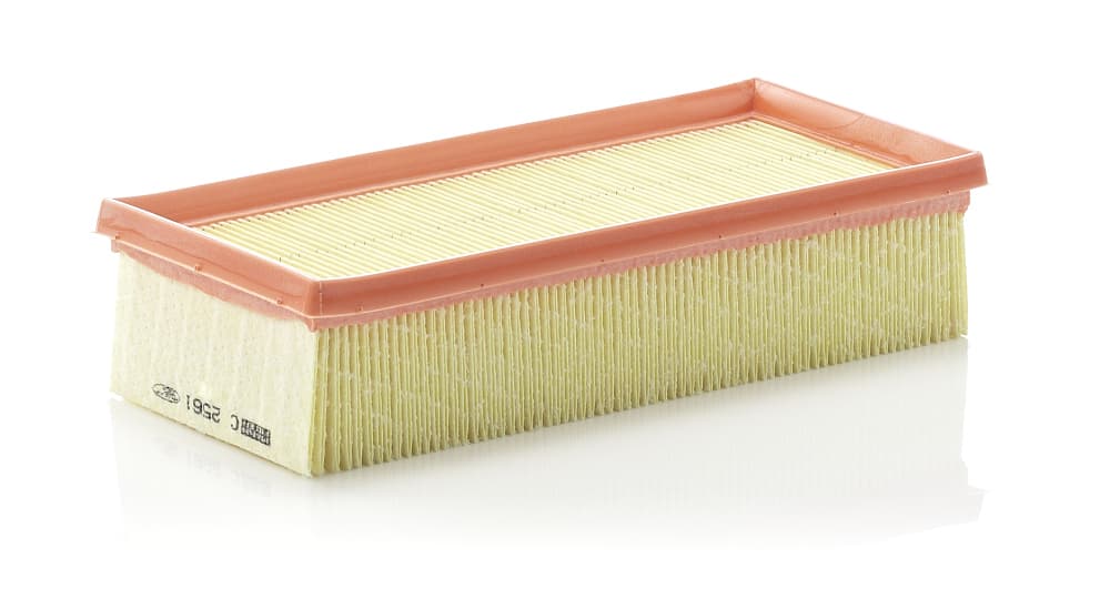 MANN-FILTER Vzduchový filter C2561 1