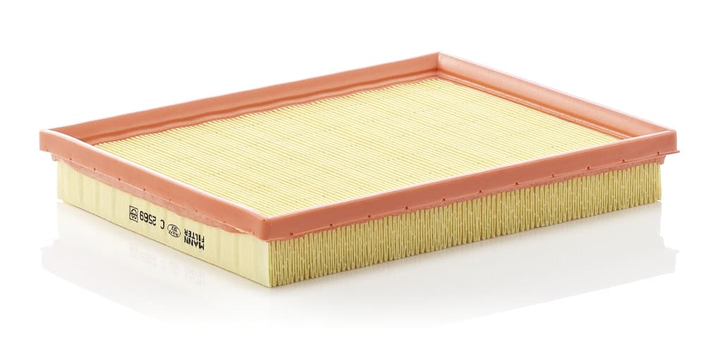 MANN-FILTER Vzduchový filter C2569 1