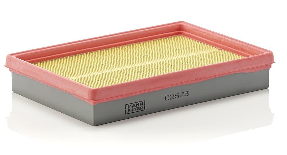 MANN-FILTER Vzduchový filter C2573 1