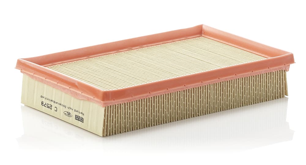 MANN-FILTER Vzduchový filter C2579 1
