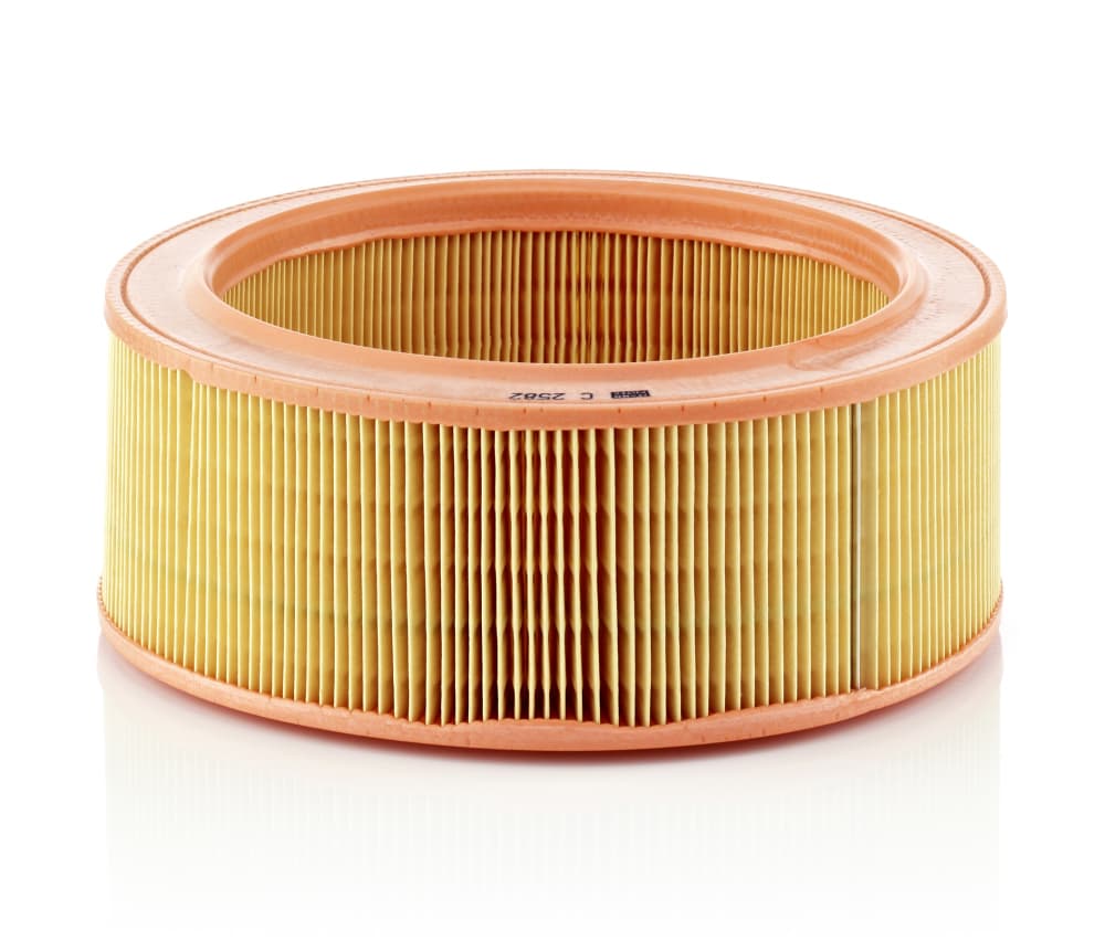 MANN-FILTER Vzduchový filter C2582 1