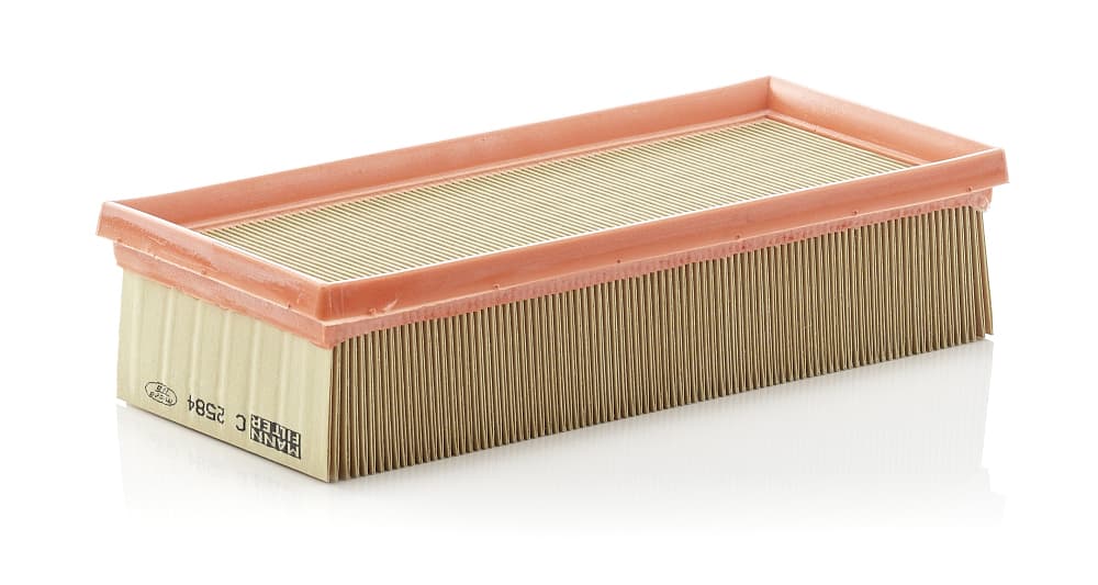 MANN-FILTER Vzduchový filter C2584 1