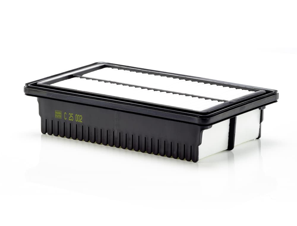 MANN-FILTER Vzduchový filter C25002 1