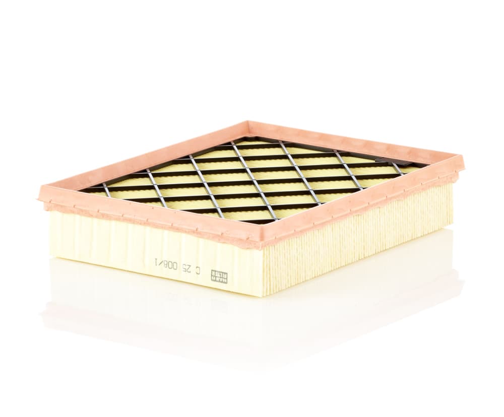 MANN-FILTER Vzduchový filter C250081 1