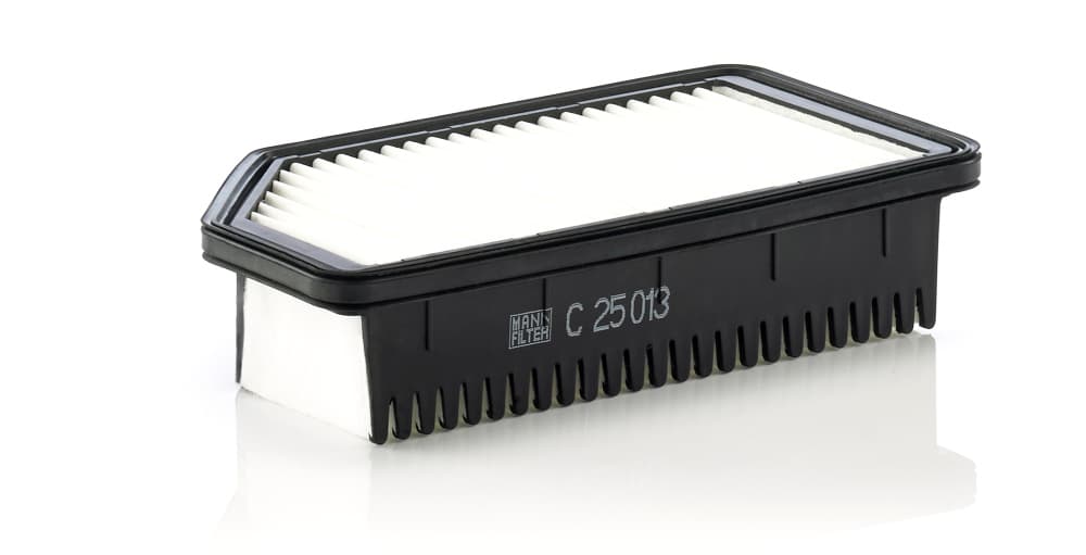MANN-FILTER Vzduchový filter C25013 1