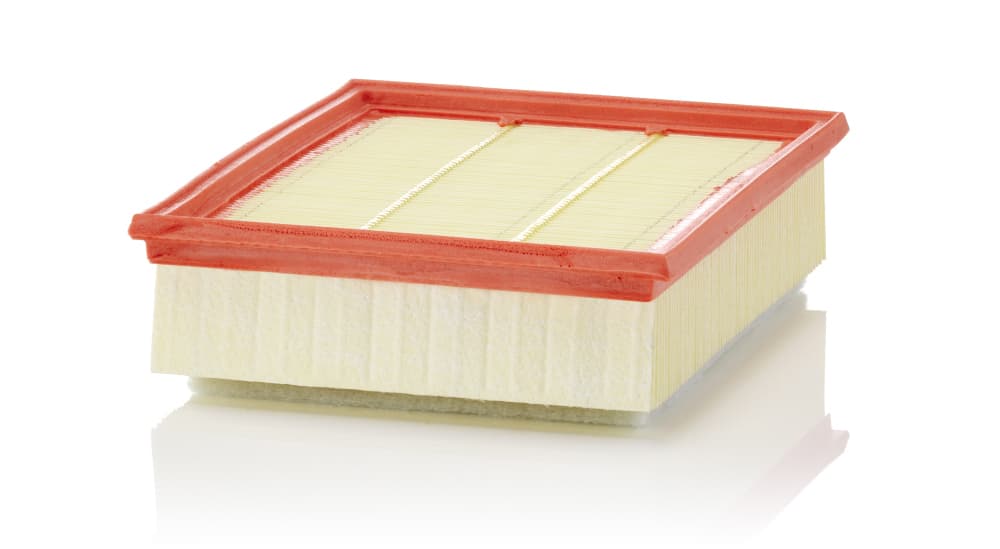 MANN-FILTER Vzduchový filter C25018 1