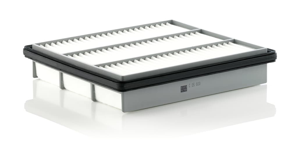 MANN-FILTER Vzduchový filter C25020 1