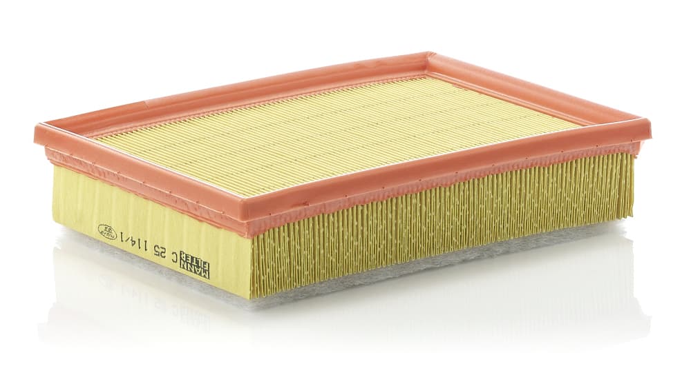 MANN-FILTER Vzduchový filter C251141 1