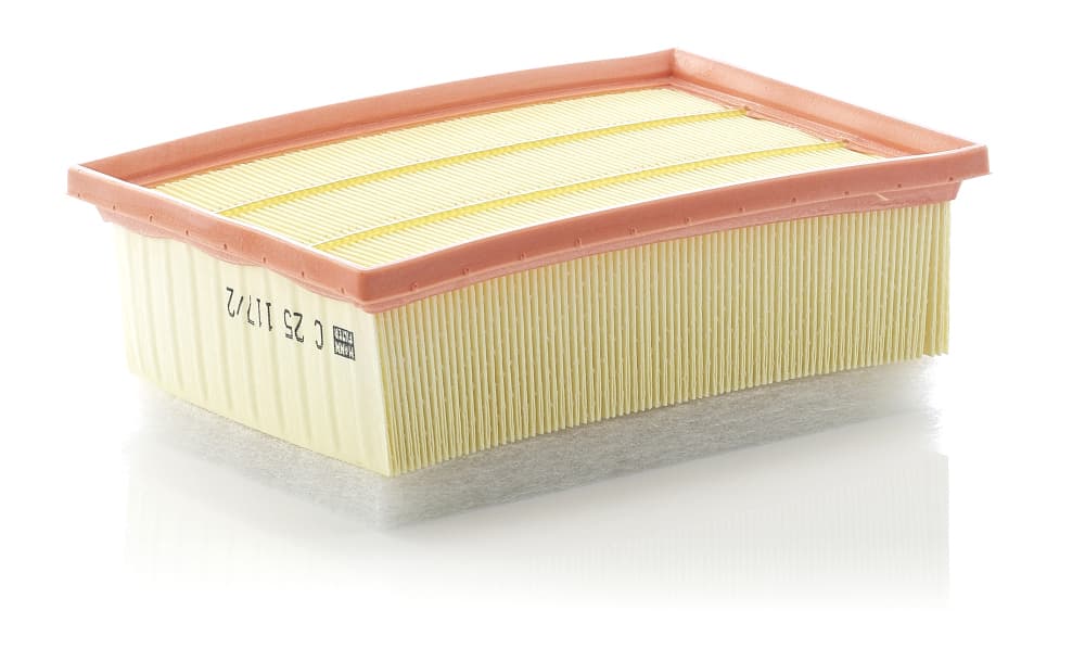 MANN-FILTER Vzduchový filter C251172 1