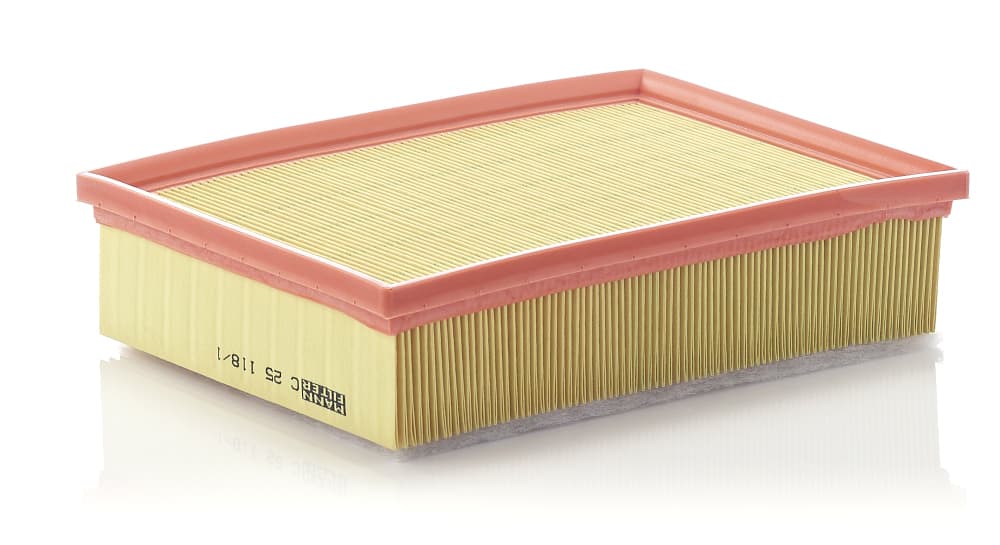 MANN-FILTER Vzduchový filter C251181 1