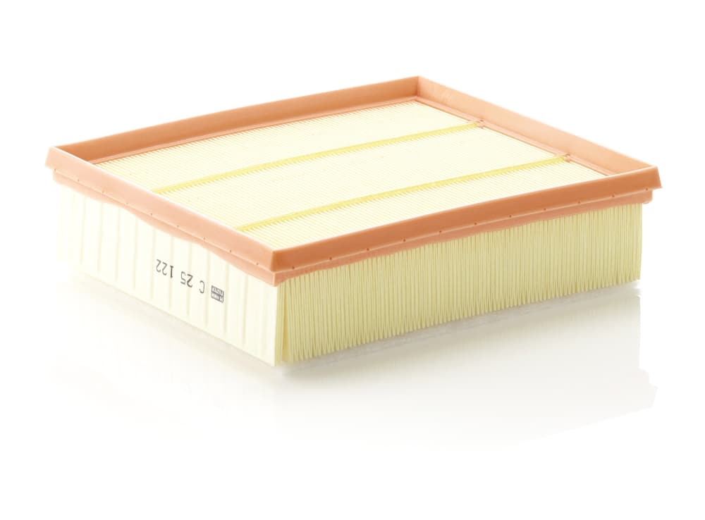 MANN-FILTER Vzduchový filter C25122 1