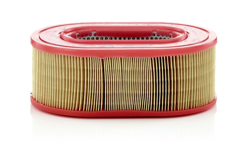MANN-FILTER Vzduchový filter C25124 1