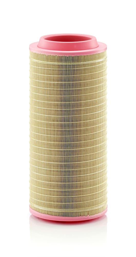 MANN-FILTER Vzduchový filter C257103 1