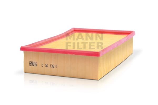 MANN-FILTER Vzduchový filter C261381 1