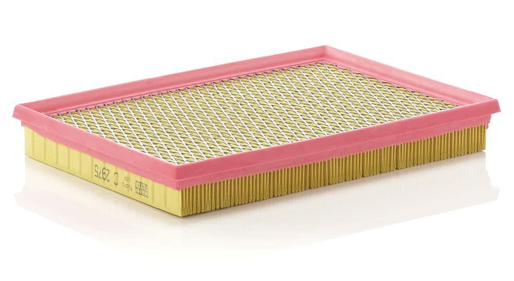 MANN-FILTER Vzduchový filter C2975 1