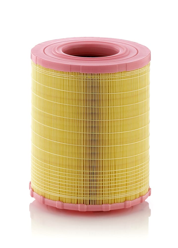 MANN-FILTER Vzduchový filter C29010 1