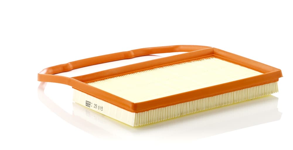 MANN-FILTER Vzduchový filter C29015 1