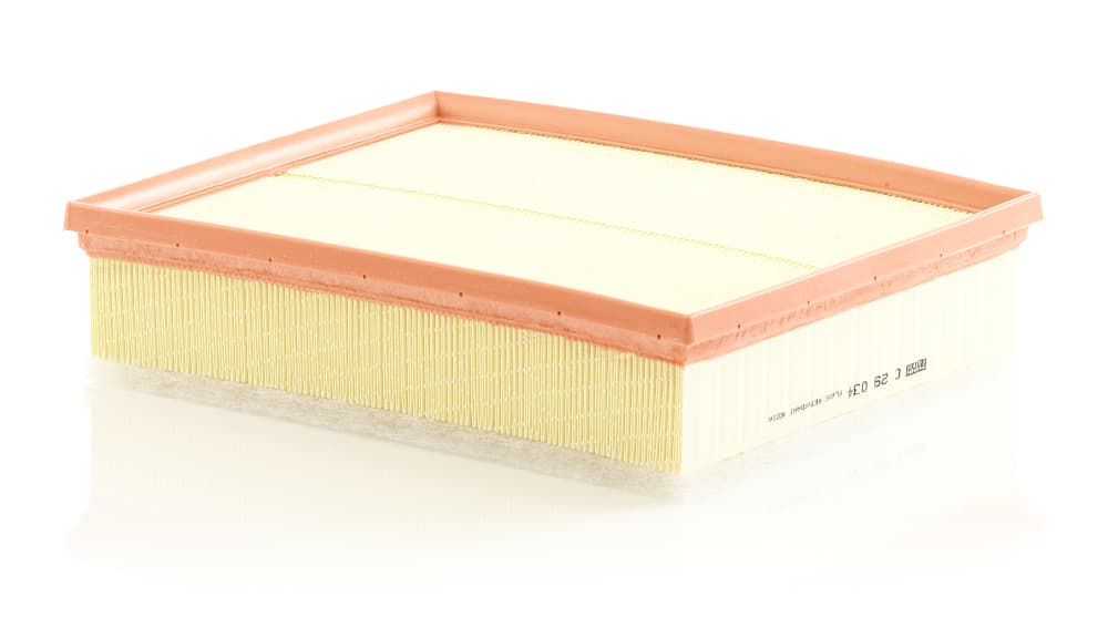 MANN-FILTER Vzduchový filter C29034 1