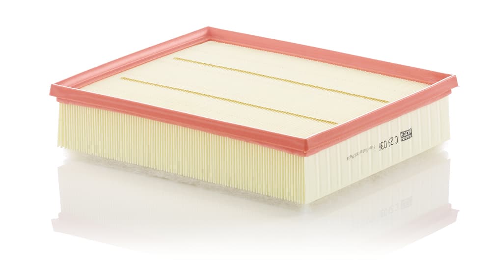 MANN-FILTER Vzduchový filter C29036 1