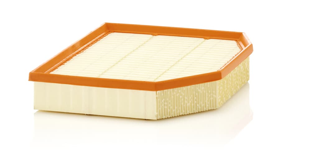 MANN-FILTER Vzduchový filter C29132 1