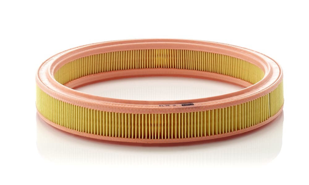 MANN-FILTER Vzduchový filter C3034 1