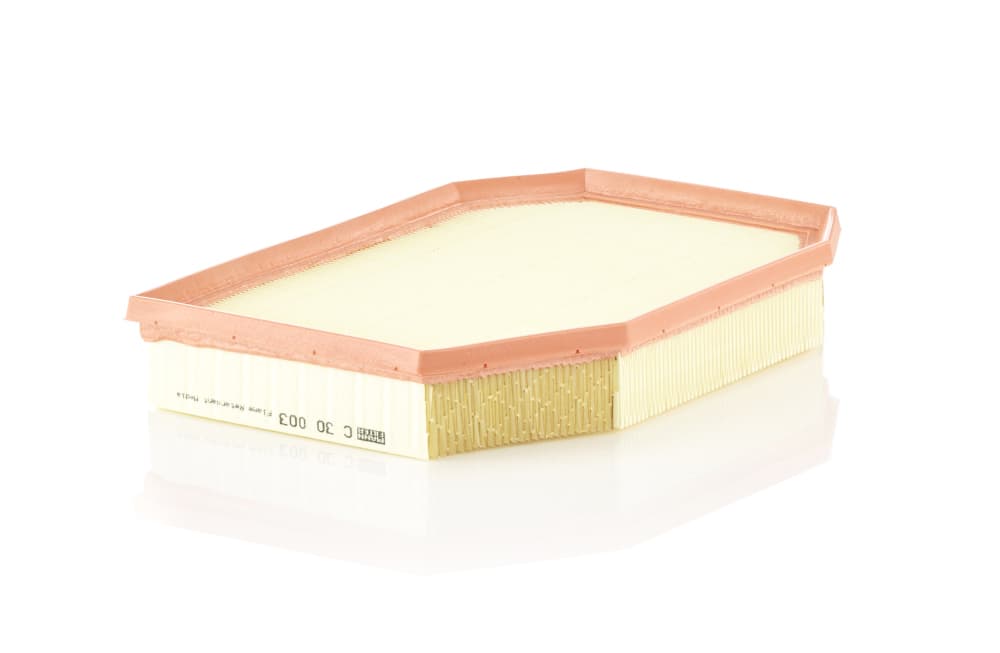 MANN-FILTER Vzduchový filter C30003 1