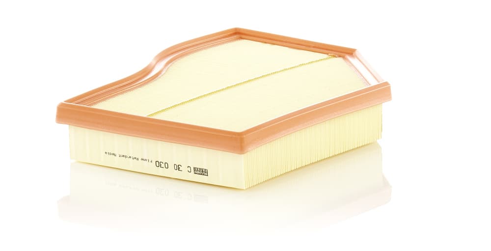 MANN-FILTER Vzduchový filter C30030 1