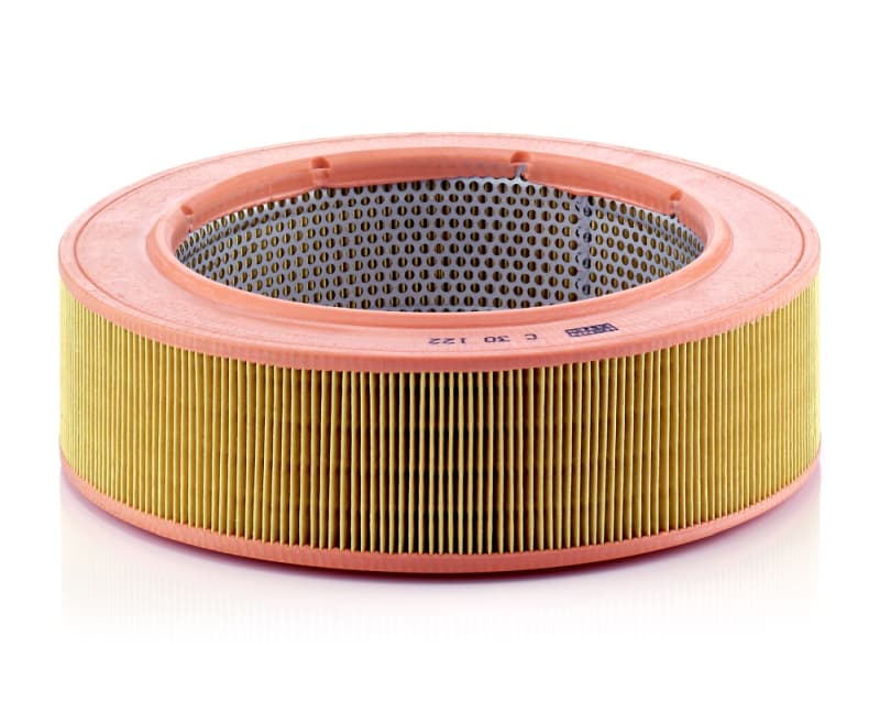 MANN-FILTER Vzduchový filter C30122 1