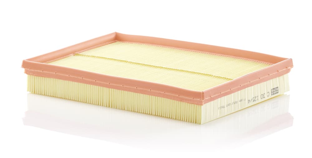 MANN-FILTER Vzduchový filter C301254 1