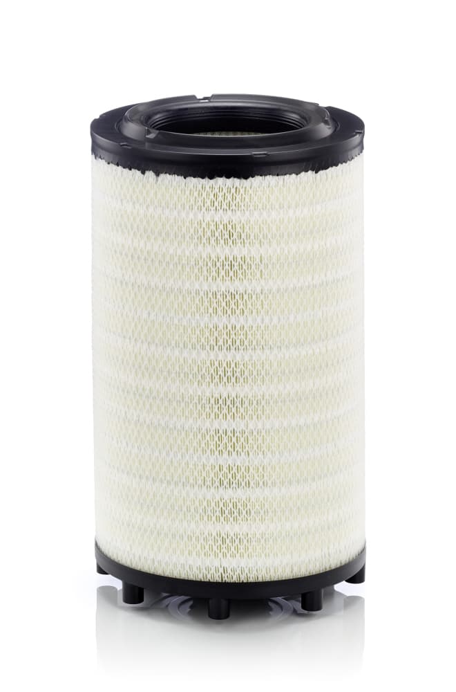 MANN-FILTER Vzduchový filter C31017 1