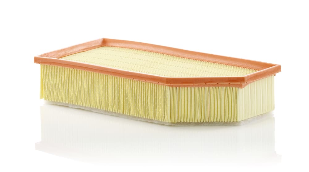 MANN-FILTER Vzduchový filter C36030 1