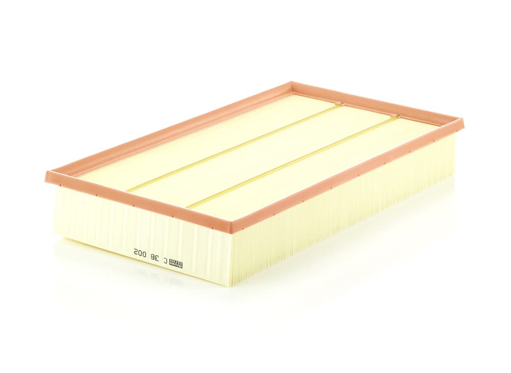 MANN-FILTER Vzduchový filter C38002 1