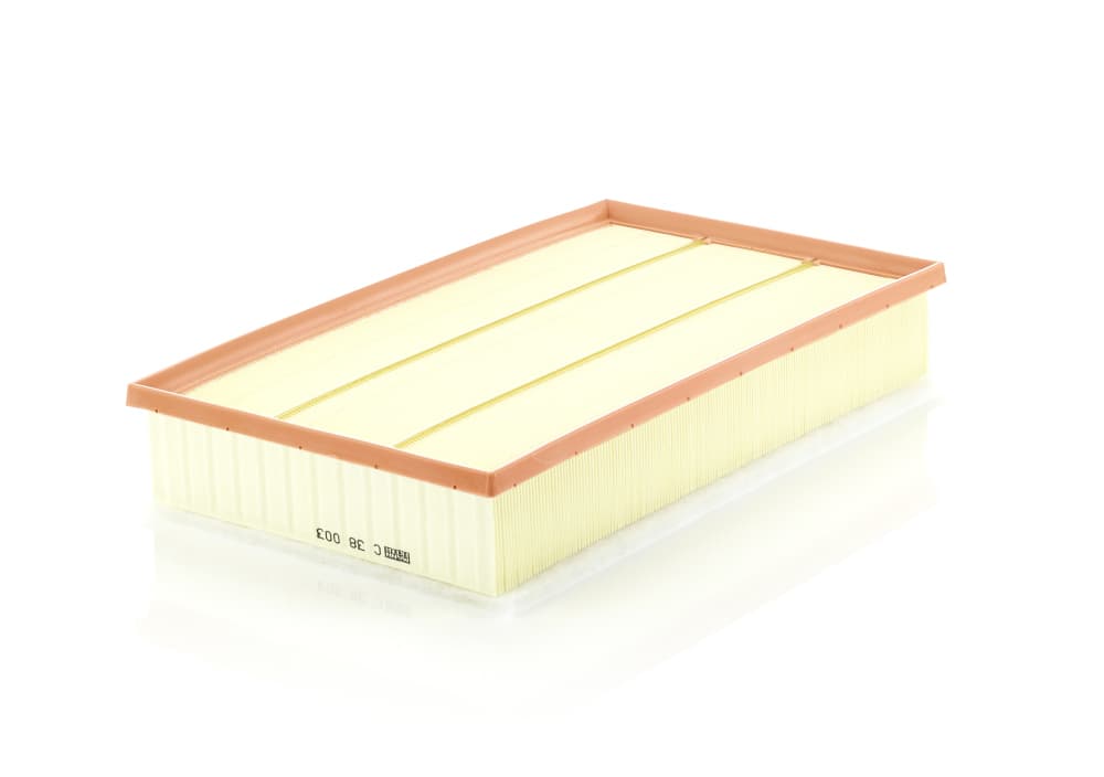 MANN-FILTER Vzduchový filter C38003 1