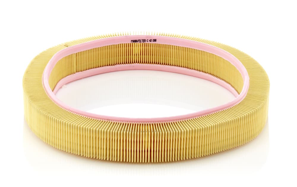 MANN-FILTER Vzduchový filter C42098 1