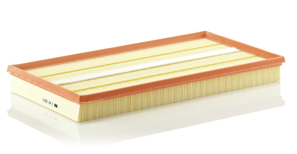MANN-FILTER Vzduchový filter C421921 1