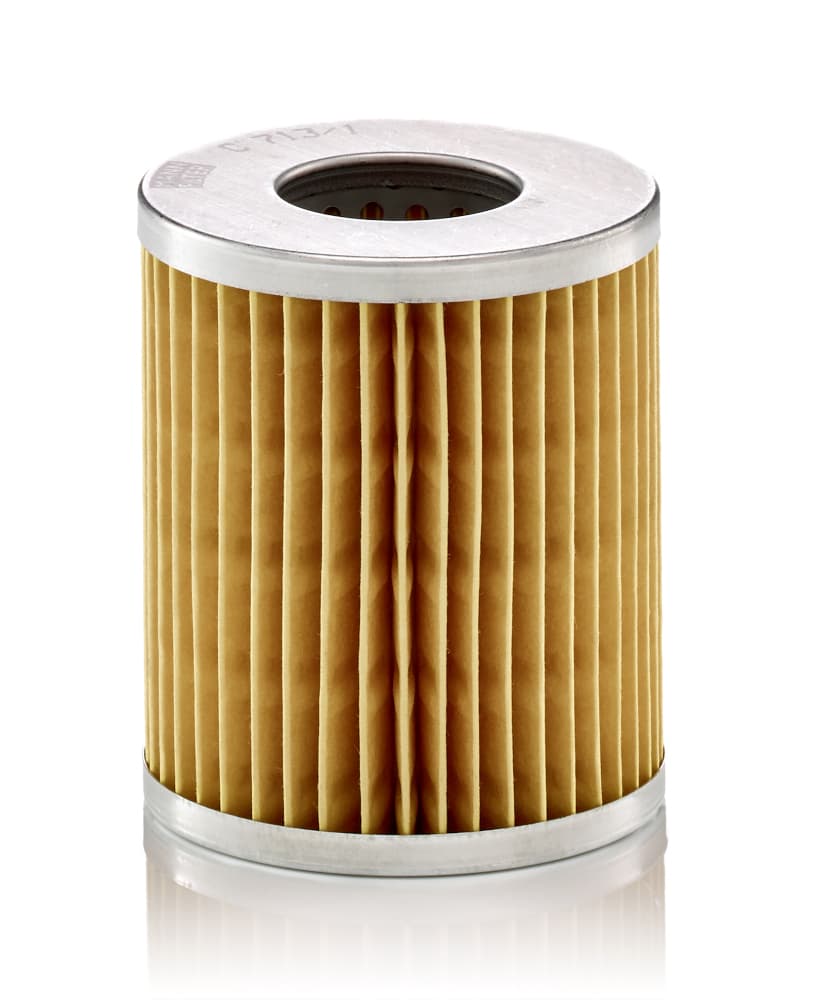MANN-FILTER Vzduchový filter C7131 1