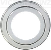 VICTOR REINZ Tesniaci krúžok drieku ventilu 702306200 1