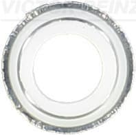 VICTOR REINZ Tesniaci krúžok drieku ventilu 702579200 1