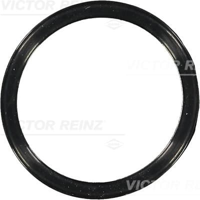 VICTOR REINZ Tesnenie obalu termostatu 703658300 1