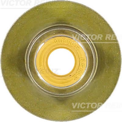 VICTOR REINZ Tesniaci krúžok drieku ventilu 70-40336-00 1